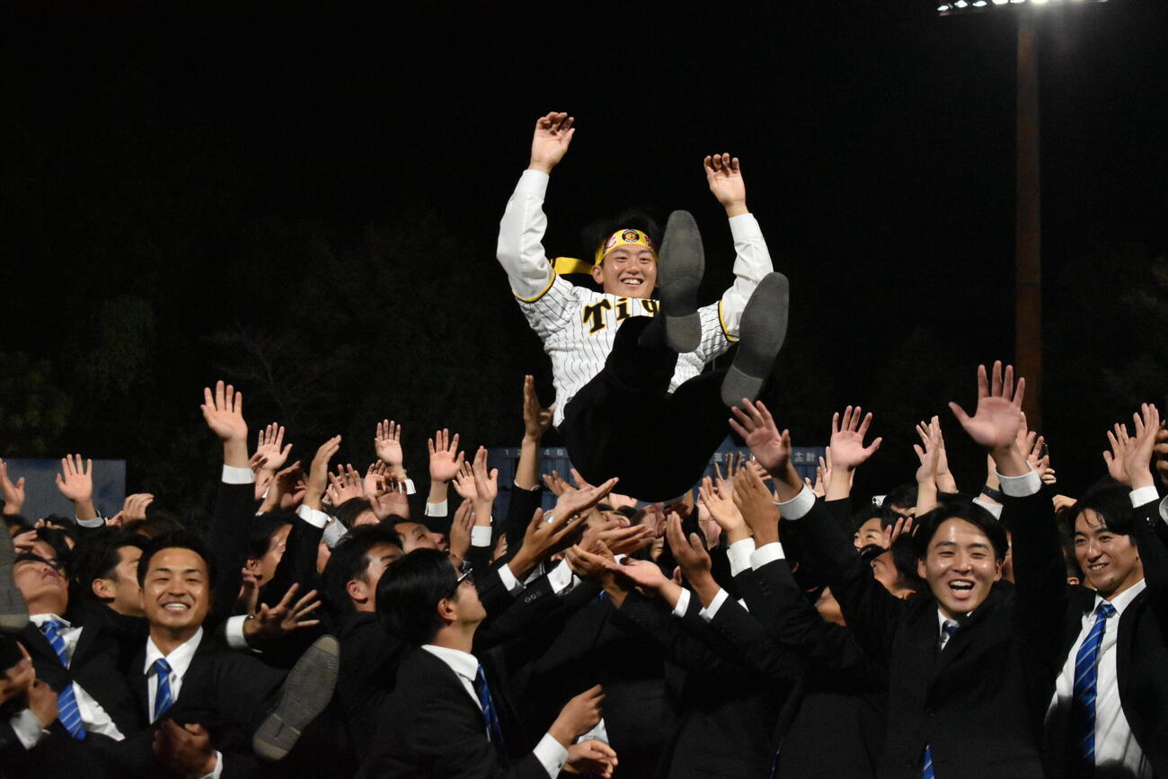 阪神から2位指名を受け、チームメートから胴上げされる日体大・馬場拓海投手（撮影・只松憲）