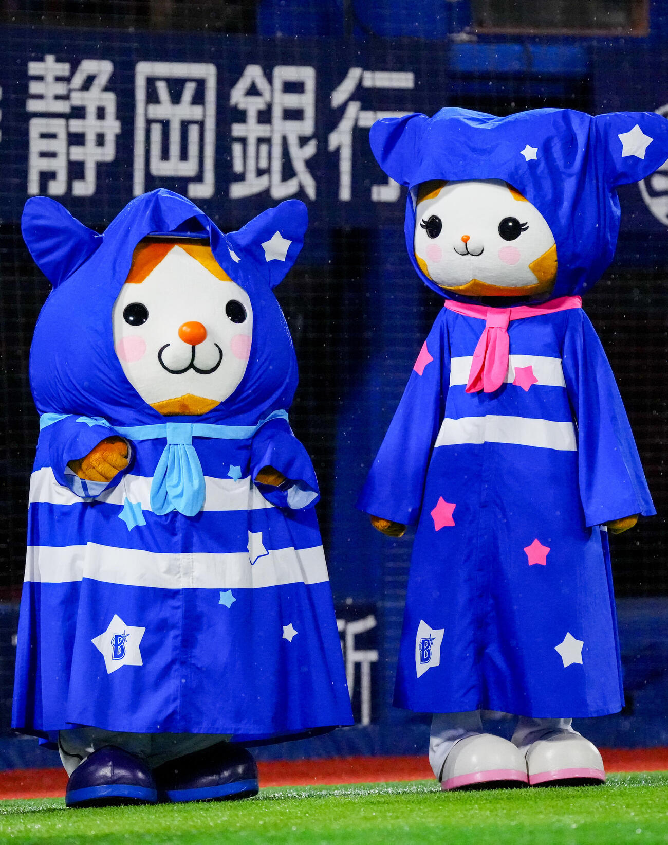 DeNA対ソフトバンク　試合前、レインコートを着るDB．スターマン（左）とDB．キララ（撮影・江口和貴）