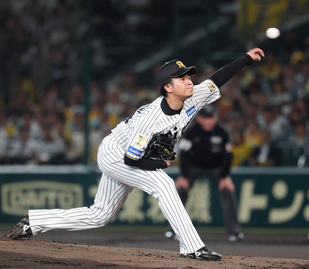 阪神高橋遥人（26年10月撮影）