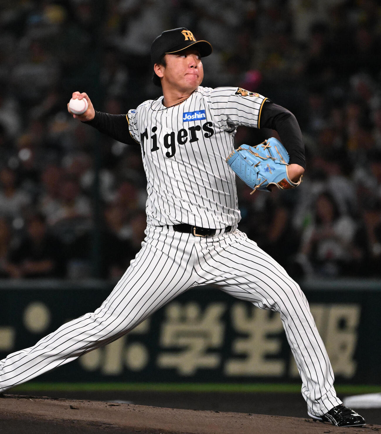 阪神村上頌樹（26年10月撮影）