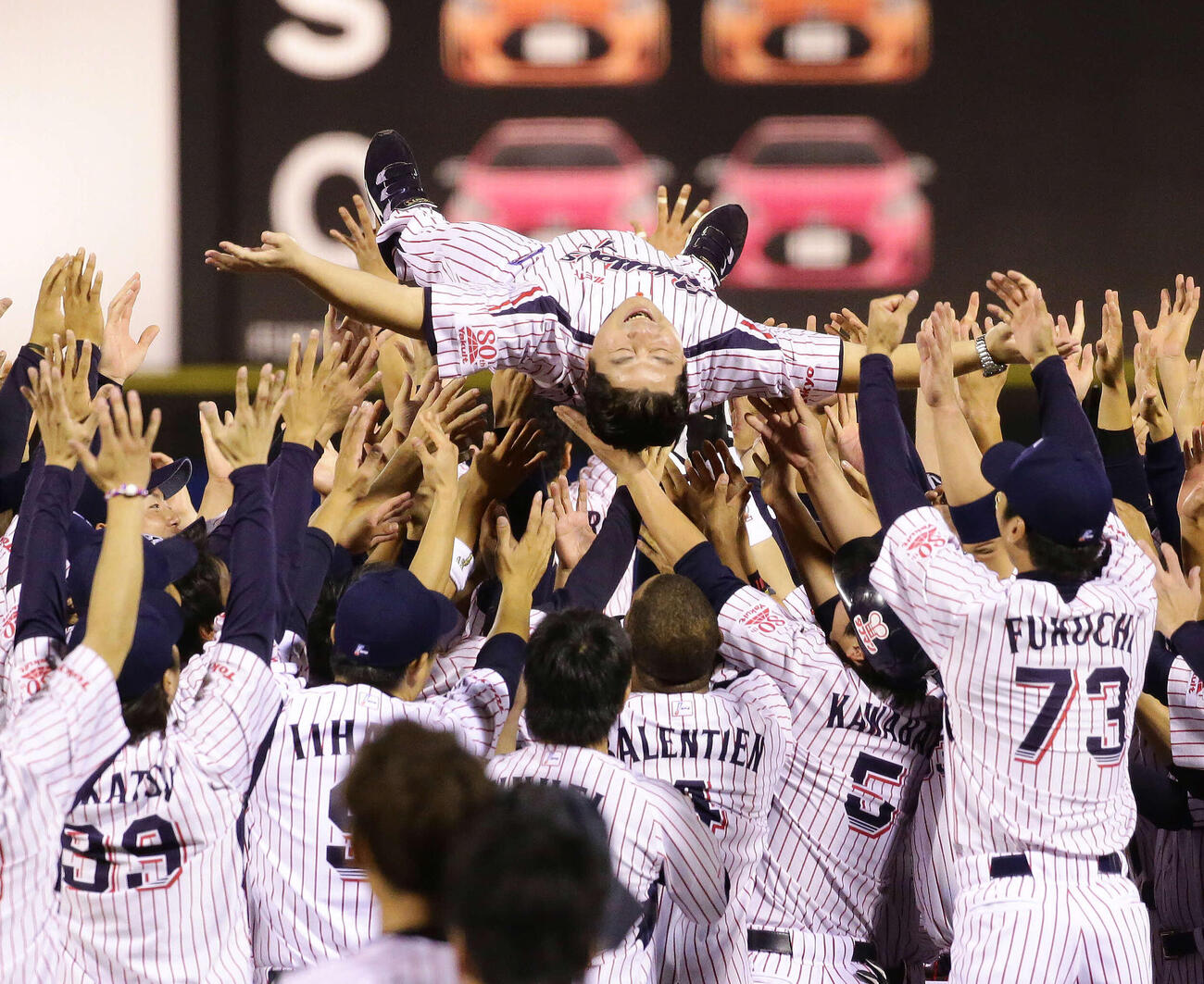 15年10月、14年ぶりセ・リーグ優勝を決め胴上げされるヤクルト真中満監督
