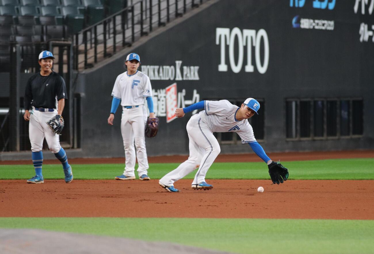 秋季練習で内野ノックを受ける日本ハム郡司裕也捕手（撮影・中島宙恵）
