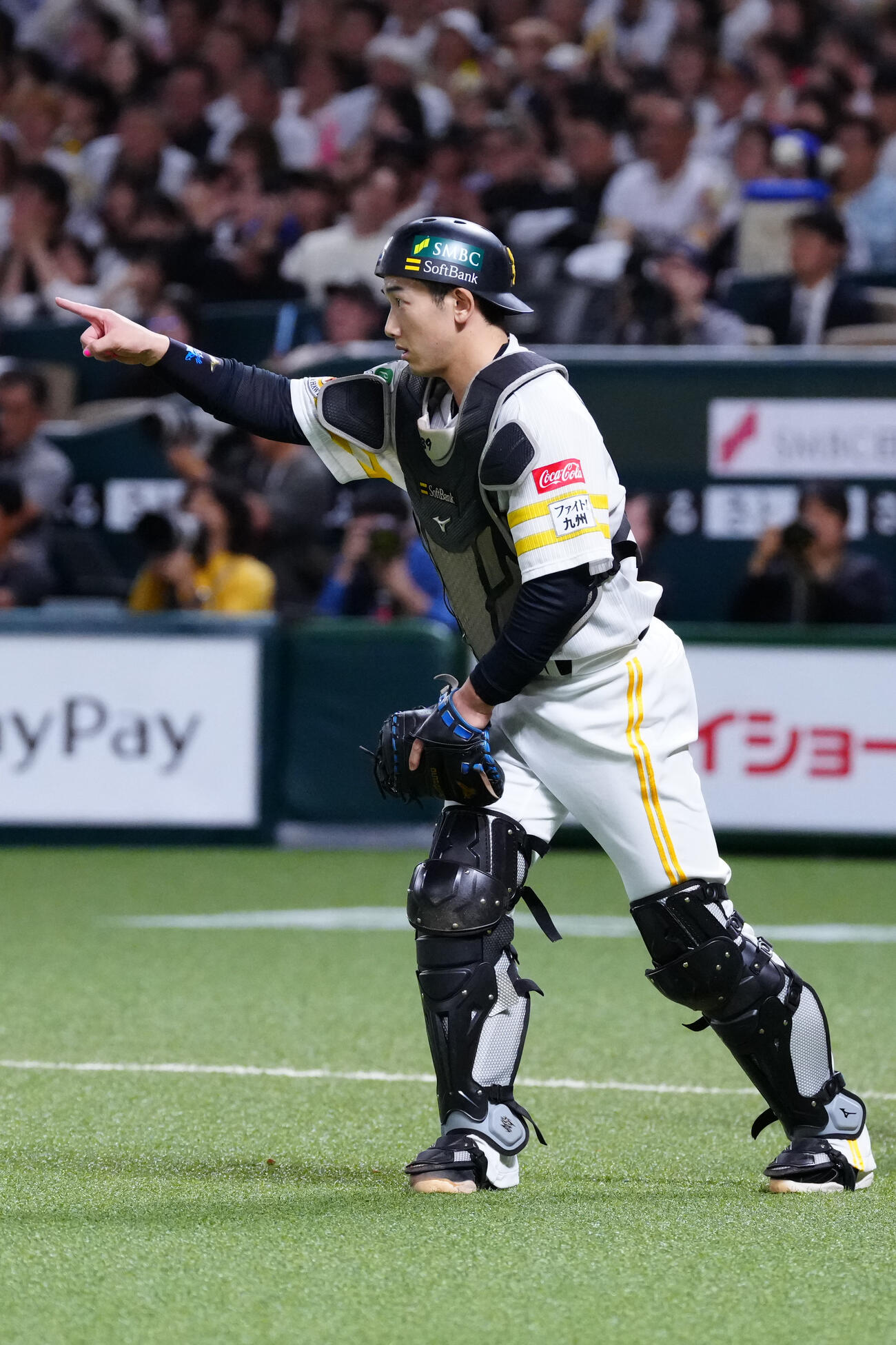 ソフトバンク対DeNA 8回表DeNA無死一塁、成瀬脩人の送りバントを阻止した捕手山本祐大（撮影・江口和貴）