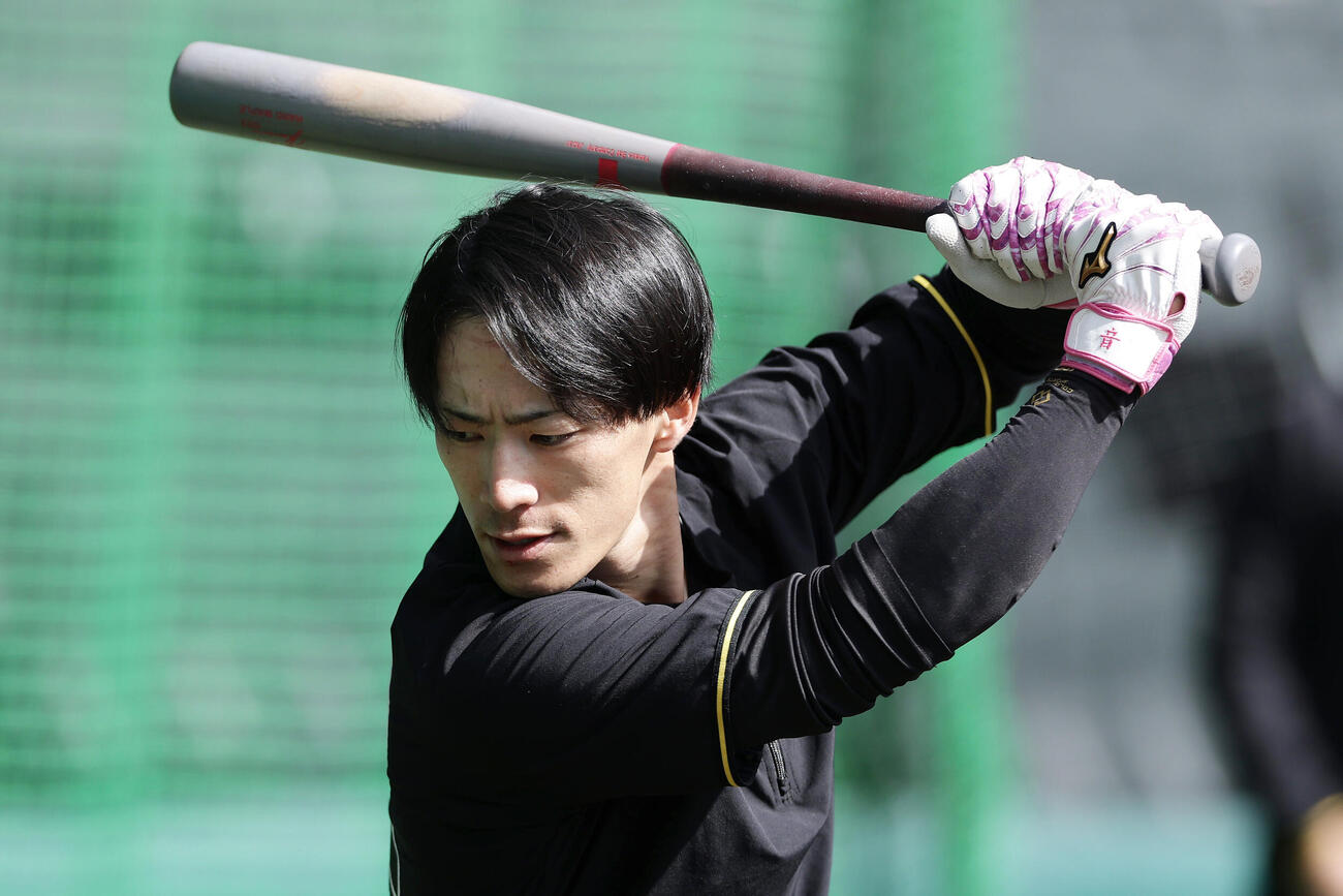 28日、打撃練習を行う阪神福島圭音（撮影・前田充）