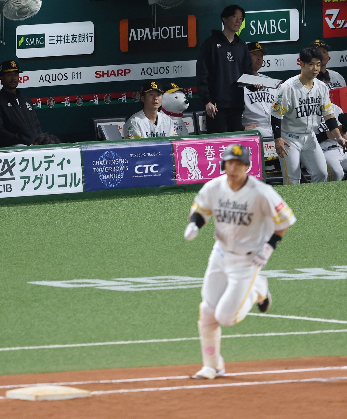 第4戦ベンチで見守るお父さん犬