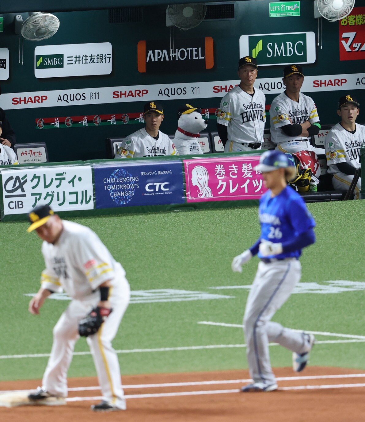 第3戦でベンチから見守るお父さん犬