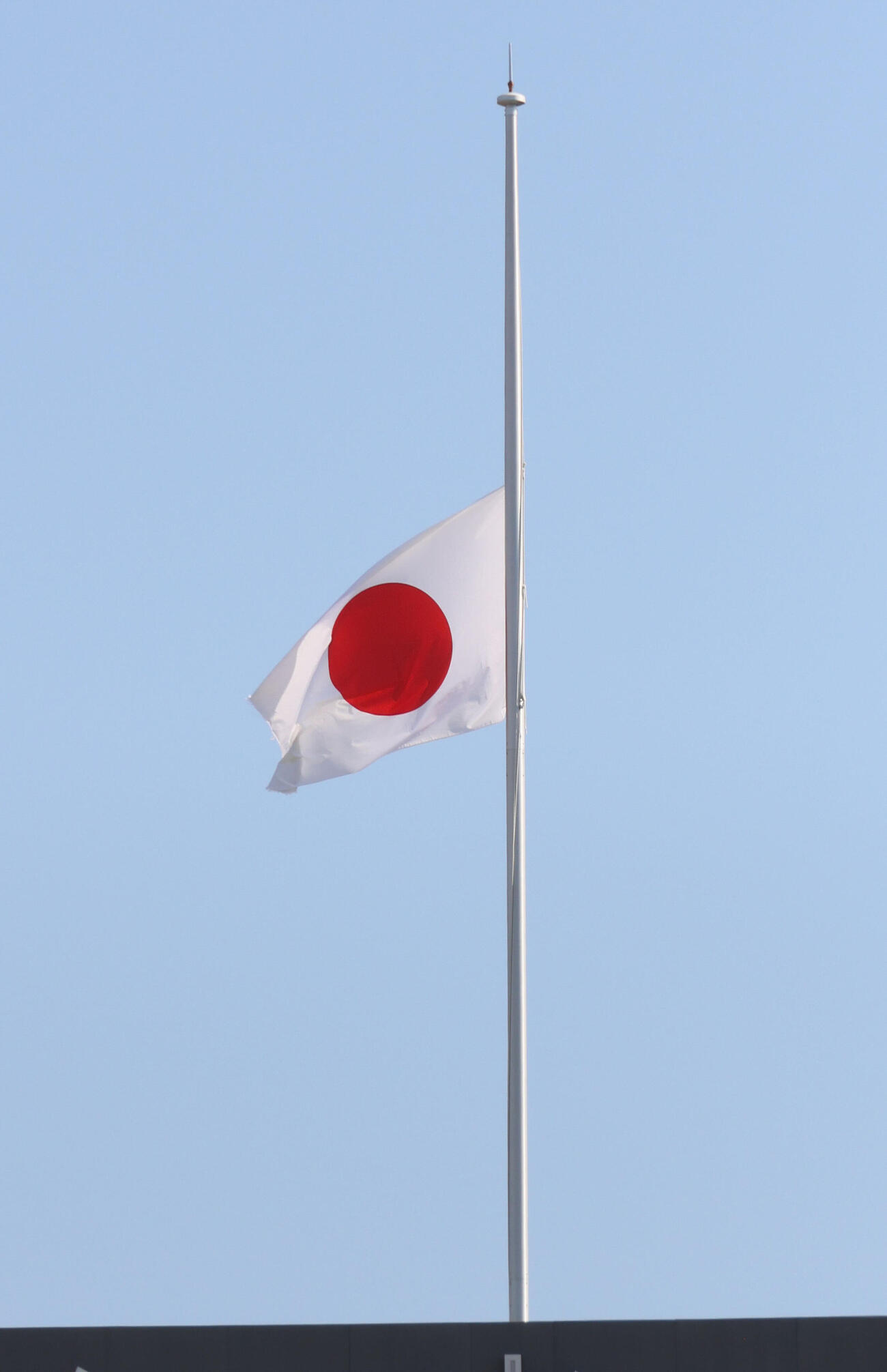 広島秋季練習　OBの池谷公二郎さんが亡くなり、半旗のもと練習（撮影・加藤孝規）