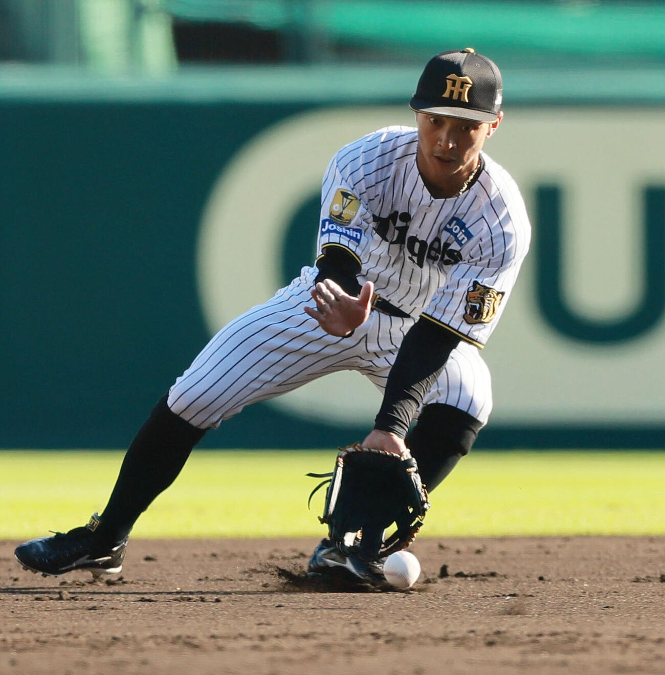 阪神熊谷敬宥（2026年10月撮影）　