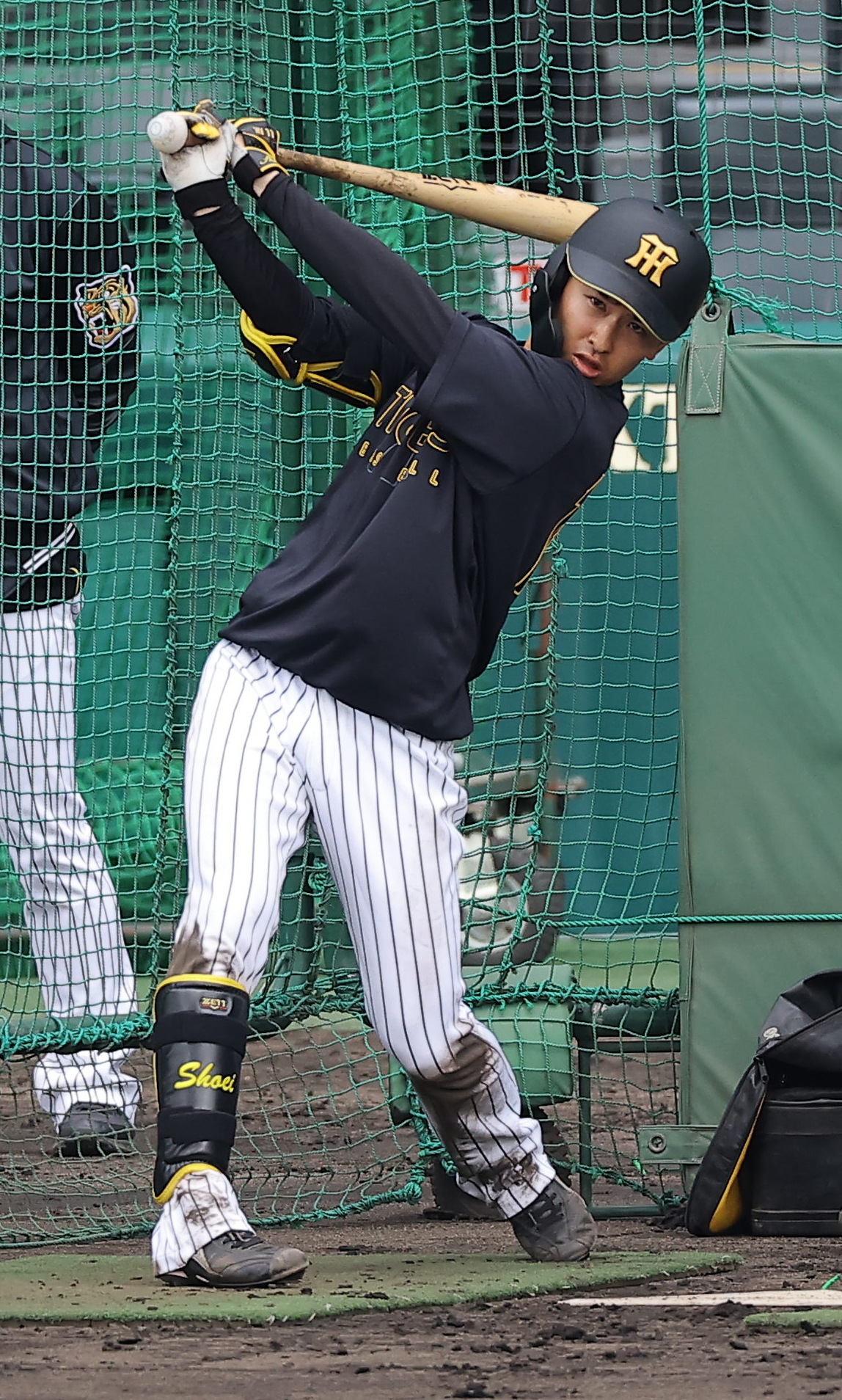 阪神山崎照英（2026年3月撮影）