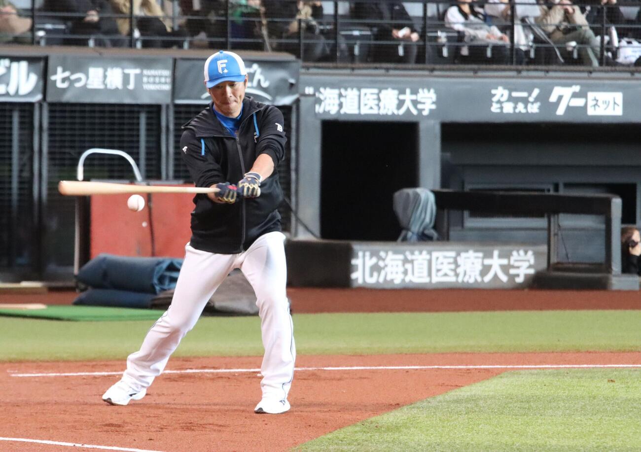 右打ちでノックする日本ハム西岡野手総合コーチ=エスコンフィールド、永野高輔撮影