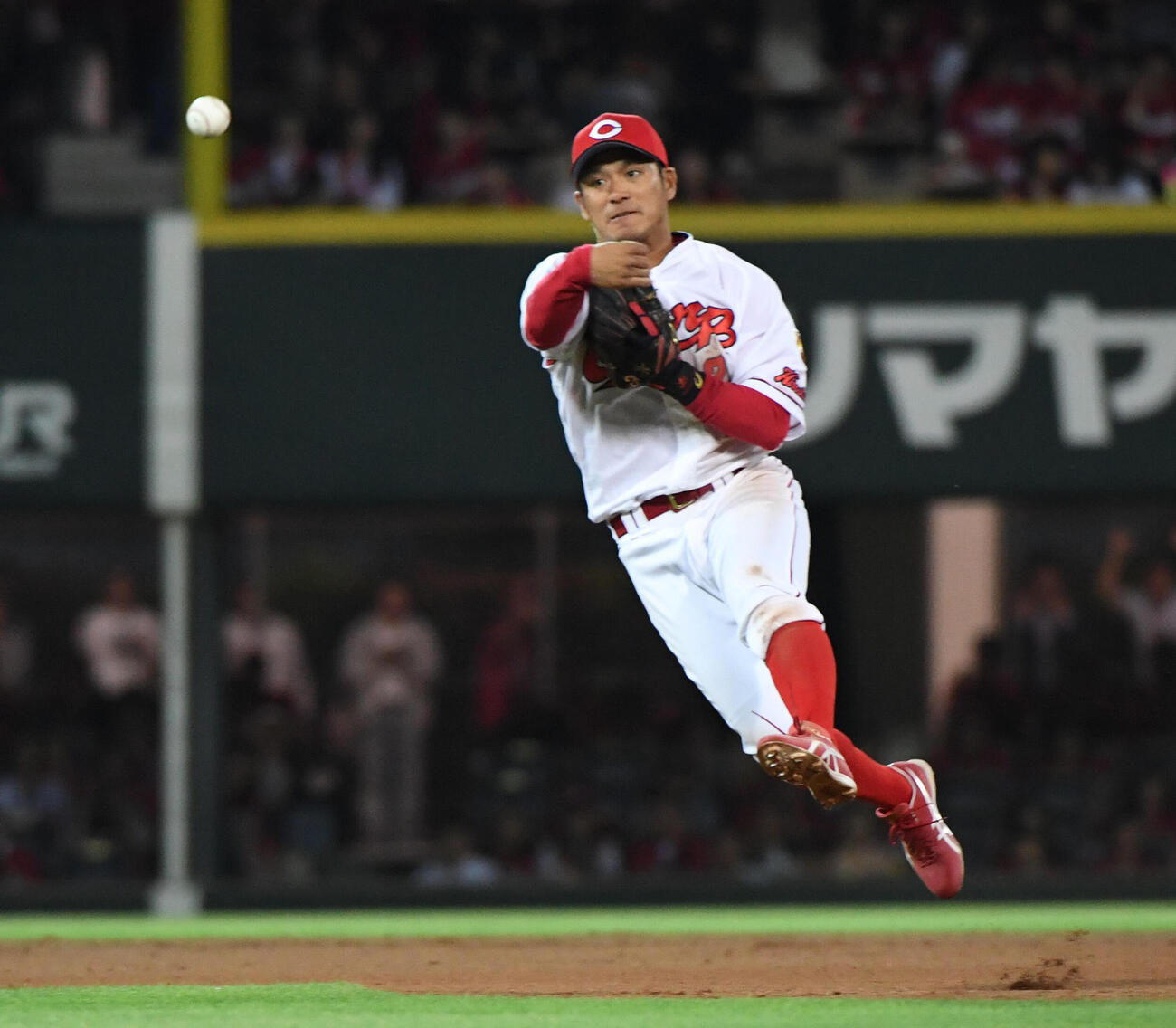 田中広輔コーチ、現役時代の華麗な守備（2019年撮影）