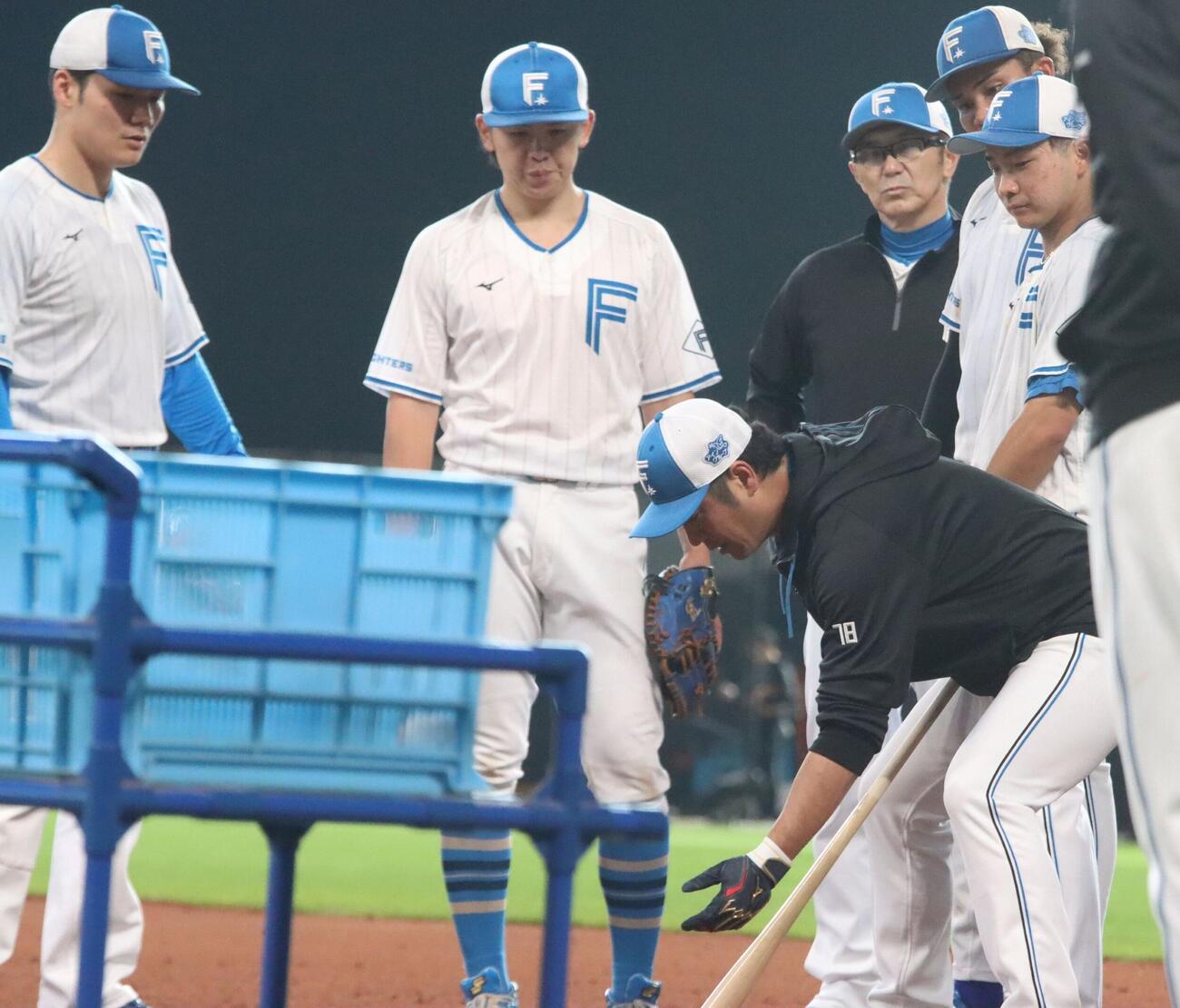 身ぶりを加えながら指導する日本ハム西岡野手総合コーチ（手前）=エスコンフィールド、永野高輔撮影