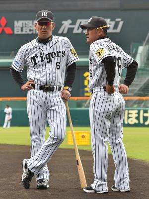 阪神平野コーチ 高山 北條厳しく 若手の鬼軍曹に 野球 日刊スポーツ