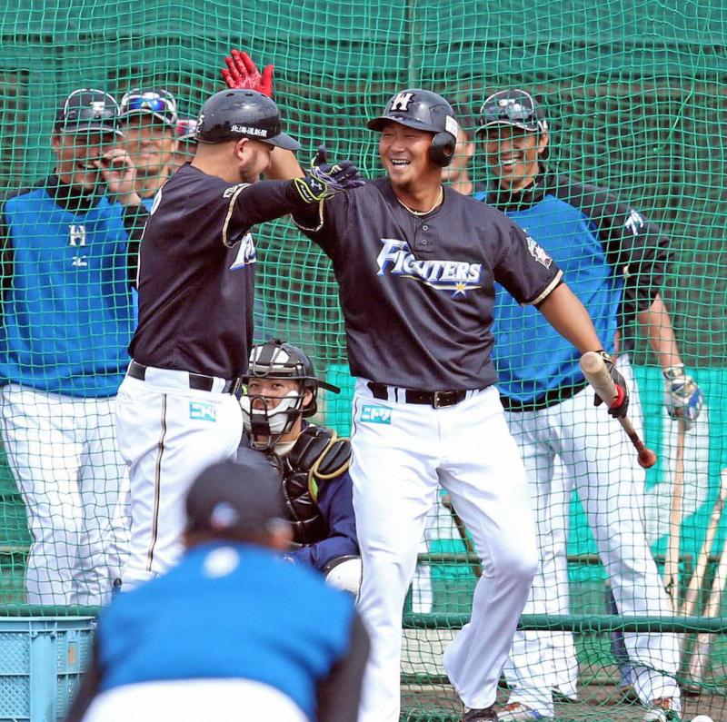 日本ハム中田が男気約束 大谷沢村賞で「中田賞」 - 野球 : 日刊スポーツ