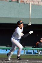 右飛に終わる巨人岡本(撮影・細江純平)