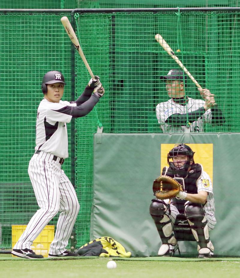 阪神金本監督動いた 13打席無安打高山に緊急メス - 野球 : 日刊スポーツ