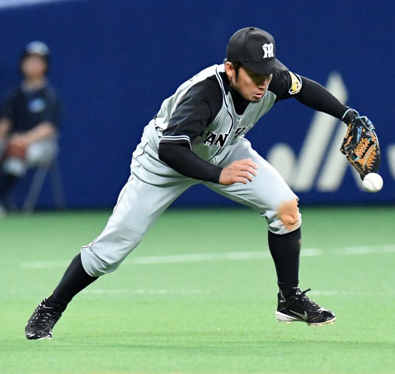 中日が劇的勝利 阪神鳥谷サヨナラタイムリーエラー 戦評 日刊スポーツ