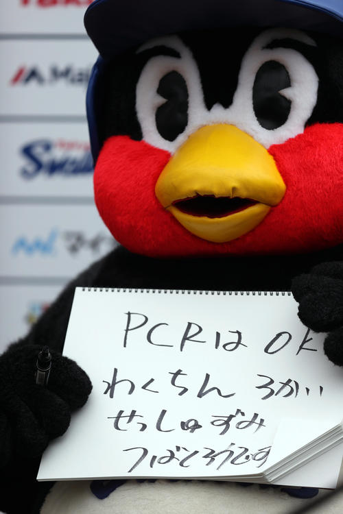 ヤクルトキャンプで「PCRはOK　わくちん3かいせっしゅずみ　つばくろうです」とアピールするつば九郎（撮影・狩俣裕三）