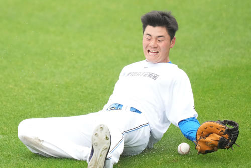 外野ノックでスライディングキャッチを試みる日本ハム清宮幸太郎。必死に飛び込んだんですが…（撮影・鈴木みどり）