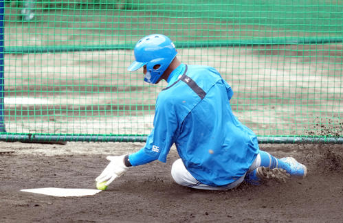 ホームベースに黄色いテニスボールを置いて、本塁生還のベースタッチ練習をする日本ハム万波中正（撮影・鈴木みどり）