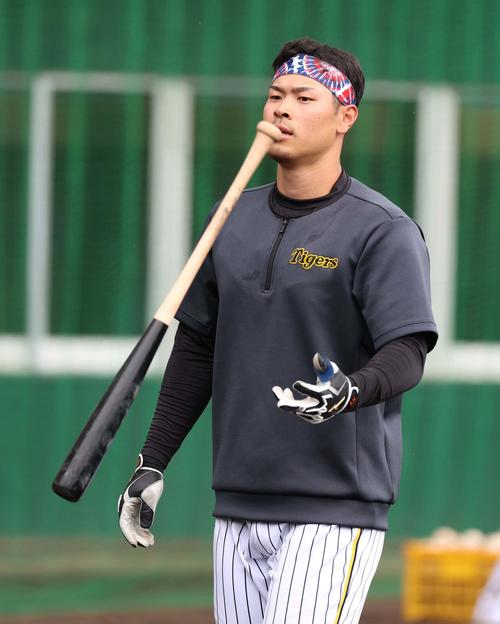 バットを回しながら打撃練習へ向かう阪神佐藤輝明。決してグリップをくわえてませんよ！（撮影・上田博志）