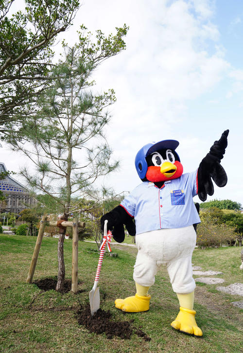 ヤクルトの日本一を記念して、リュウキュウマツの植樹セレモニーに臨み、ポーズを決める、つば九郎（撮影・江口和貴）