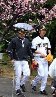 サブグラウンドからブルペンに移動する藤川(右)(撮影・加藤哉)
