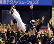 【楽天－ソフトバンク】秋山監督は胴上げされる（撮影・松本俊）