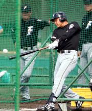 打撃練習する日本ハム二岡（撮影・井上学）