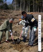 植樹式で斉藤（右）は、さくらの樹を植える（撮影・藤尾明華）