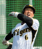 メーングラウンドでフリー打撃を行った金本（撮影・河南真一）
