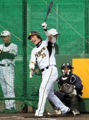 フリー打撃で笑顔を見せる新井貴浩（撮影・宮崎幸一）