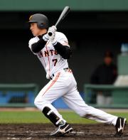 左前に安打を放つ長野(撮影・宮川勝也)
