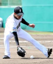 日本ハム八木は荻野貴の投ゴロをさばく（撮影・井上学）