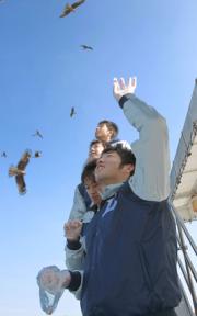 トンビに餌付けする、手前から雄星、松下、岡本、岩尾（撮影・沢野健太）