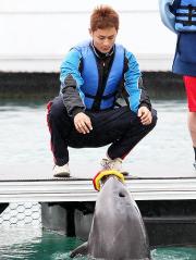 イルカとのふれあい体験をするダルビッシュ（撮影・黒川智章）