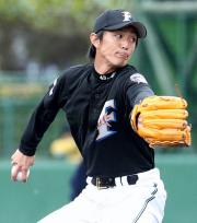 紅白戦で先発した増井浩俊は力の入った投球を見せる(撮影・井上学)