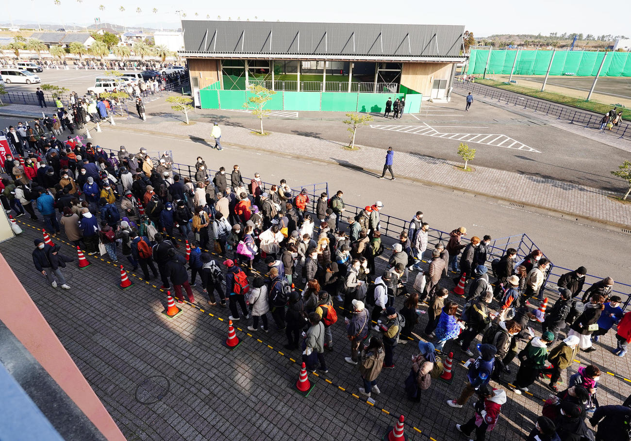 侍ジャパン強化合宿初日、開門を待つファン（撮影・菅敏）