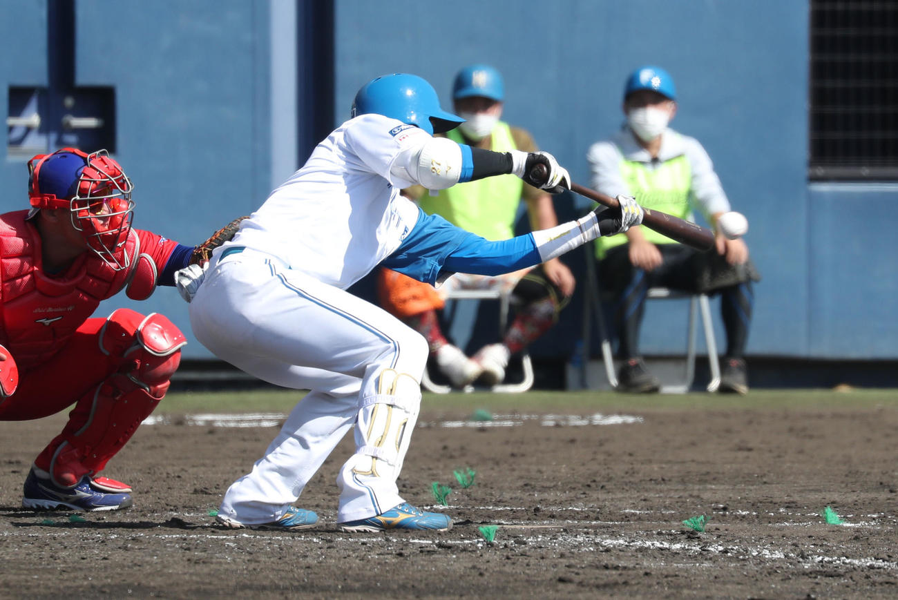 日本ハム対キューバ　3回裏日本ハム1死三塁、古川はスクイズを決める（撮影・佐藤翔太）
