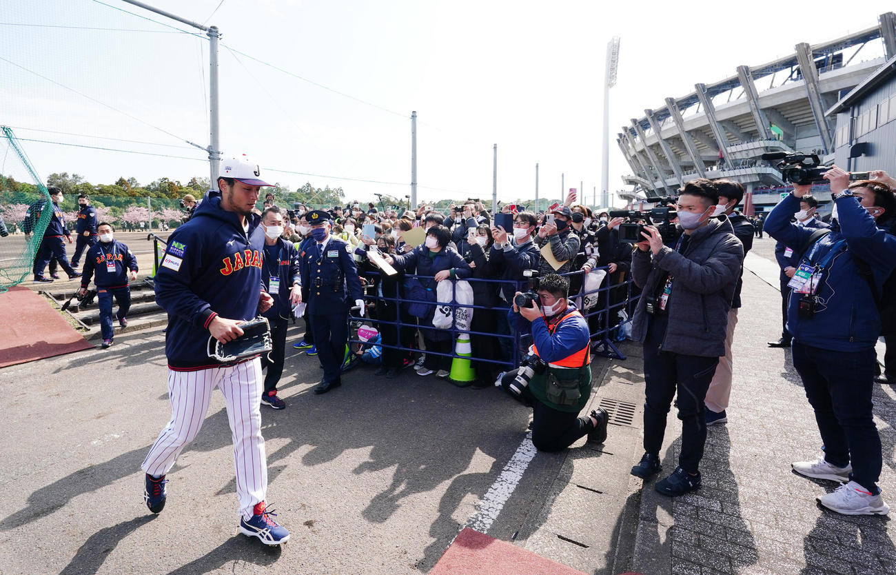 侍ジャパン強化合宿初日、大勢のファンに声をかけられながら移動するダルビッシュ（手前）（撮影・菅敏）
