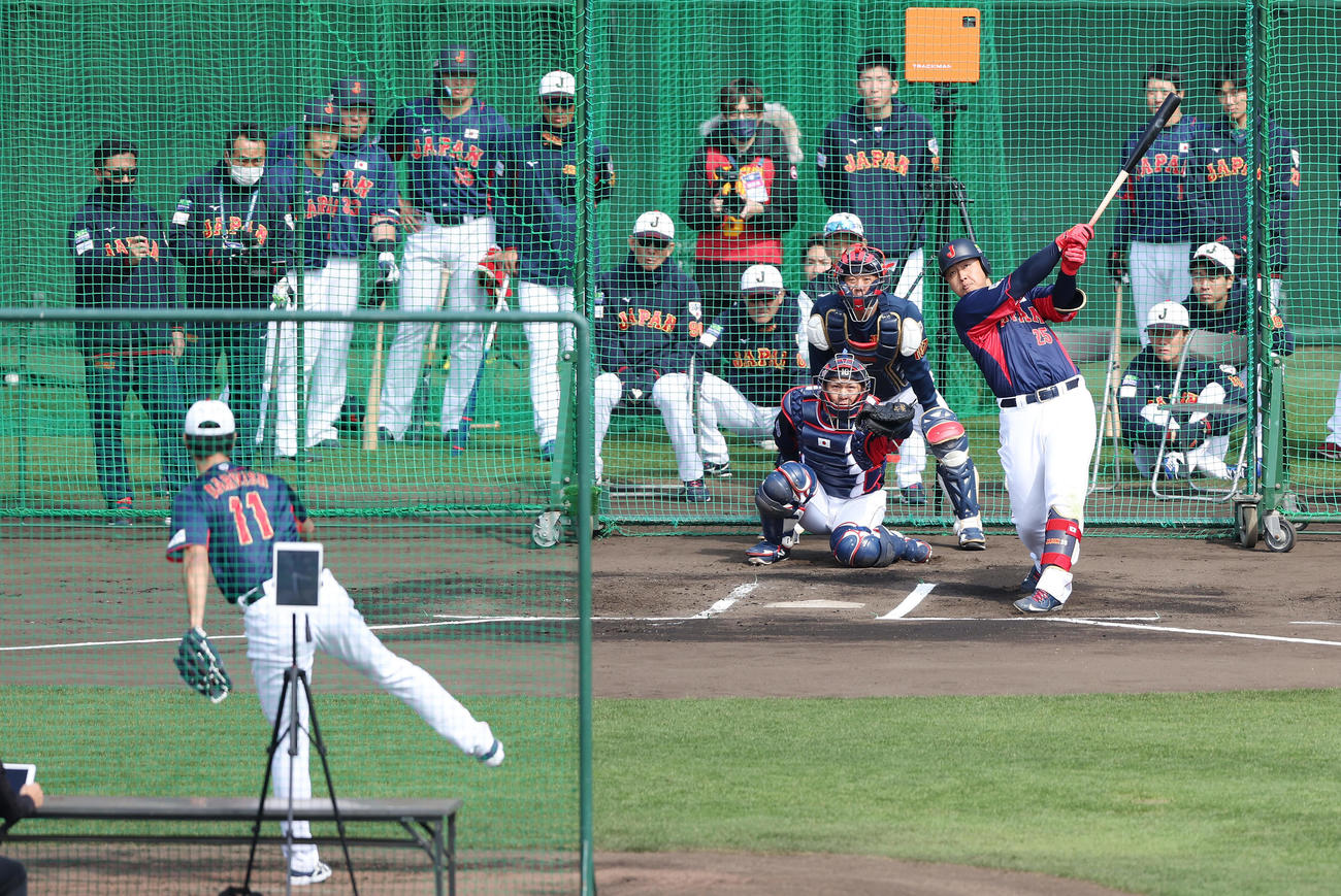 ライブBPでダルビッシュ（手前）と対戦する岡本（撮影・前田充）