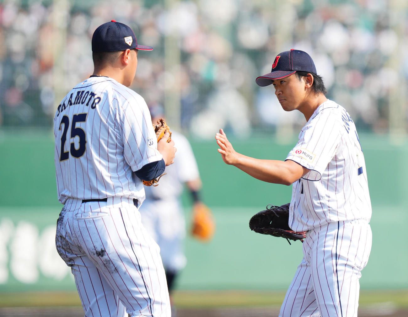 日本対ソフトバンク　4回表ソフトバンク1死、中村晃を一ゴロに仕留め岡本（左）に申し訳なさげな今永（撮影・垰建太）