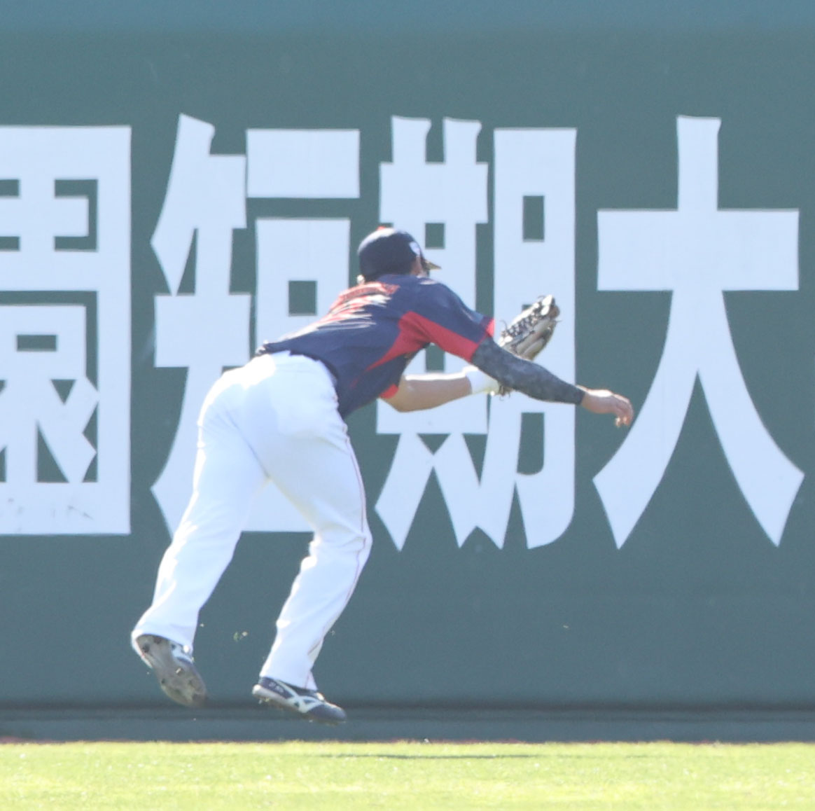 ソフトバンク対侍ジャパン　4回裏ソフトバンク2死二塁、嶺井の打球を好捕する右翼手の西川愛也（撮影・梅根麻紀）