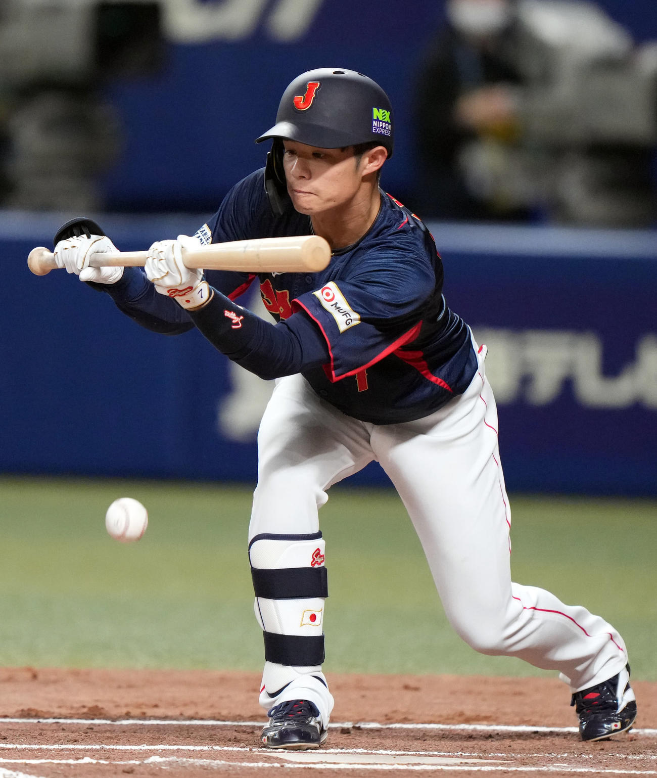 中日対侍ジャパン　6回表侍ジャパン無死二塁、犠打を決める中野（撮影・狩俣裕三）