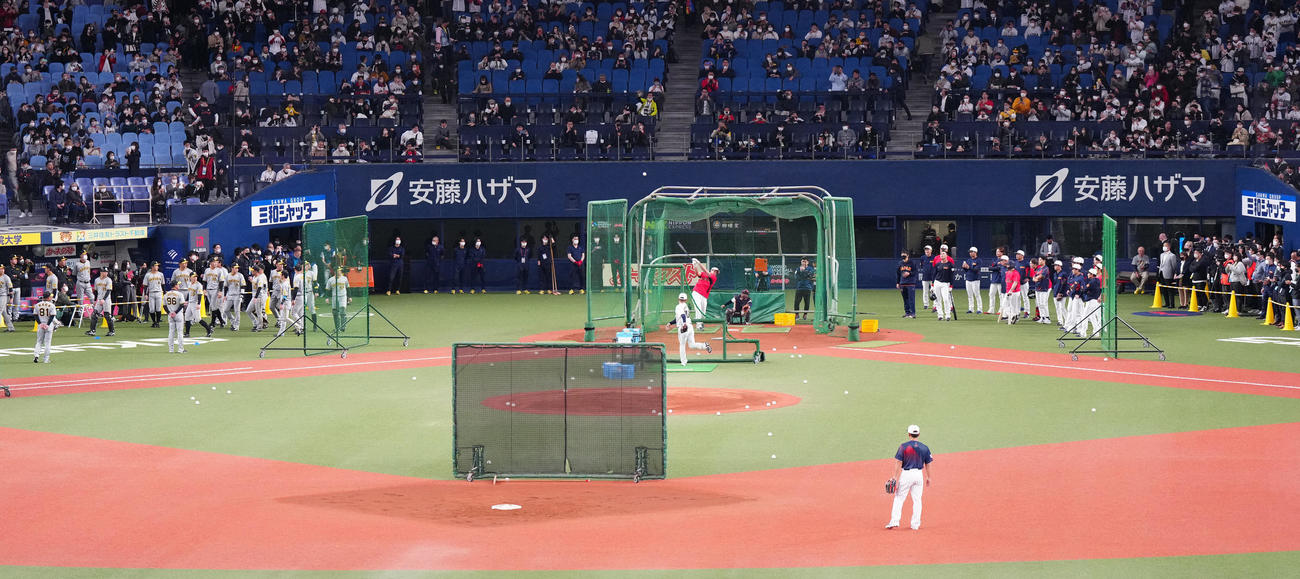 侍ジャパン対阪神　試合前、打撃練習する大谷を見つめる大勢の人たち（撮影・江口和貴）