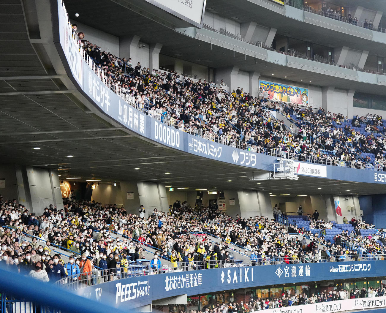 侍ジャパン対阪神　試合前、打撃練習で柵越えした大谷の打球を見つめる大勢の人たち（撮影・江口和貴）