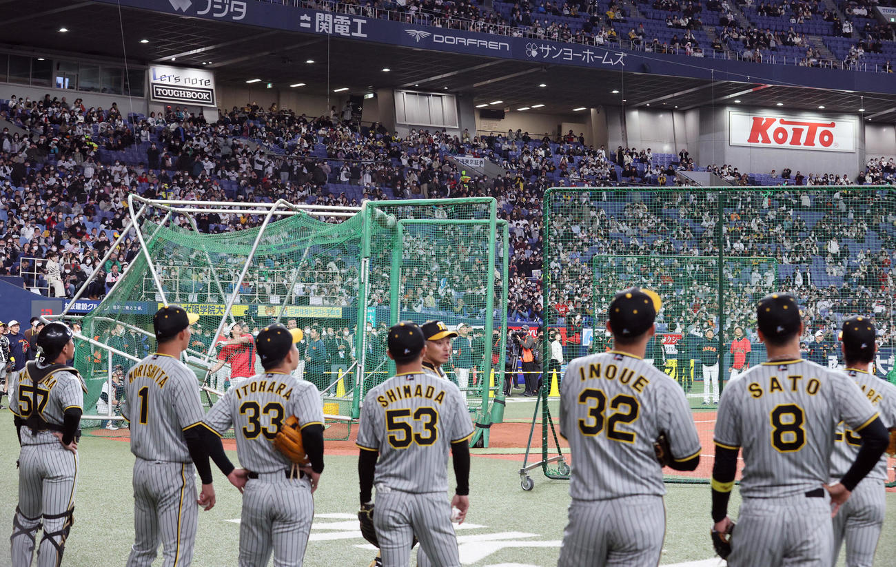試合前、阪神ナインも大谷の打撃練習を見る（撮影・上山淳一）