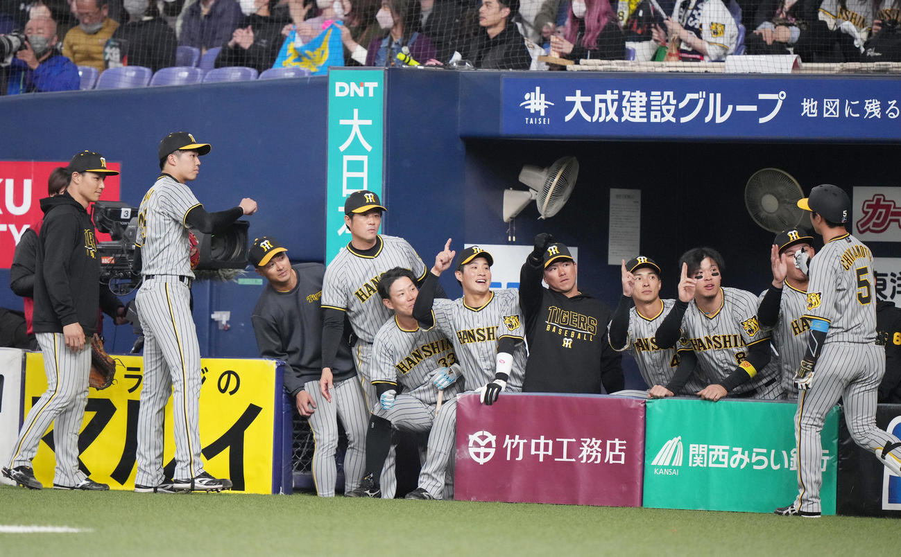 阪神対侍ジャパン　3回裏阪神2死、ソロ本塁打を放った近本（右端）を迎えるチームメートたち（撮影・狩俣裕三）