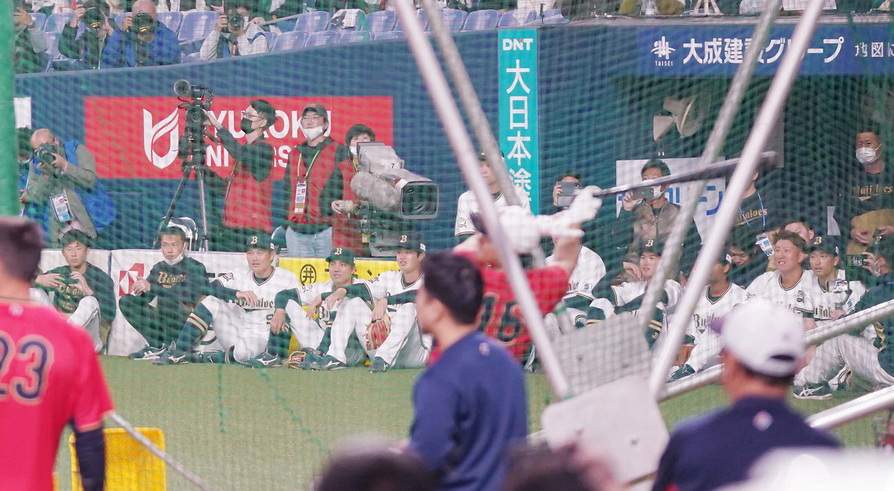 オリックス対侍ジャパン　試合前、大谷（中央）のフリー打撃を見つめるオリックスの選手たち（撮影・狩俣裕三）