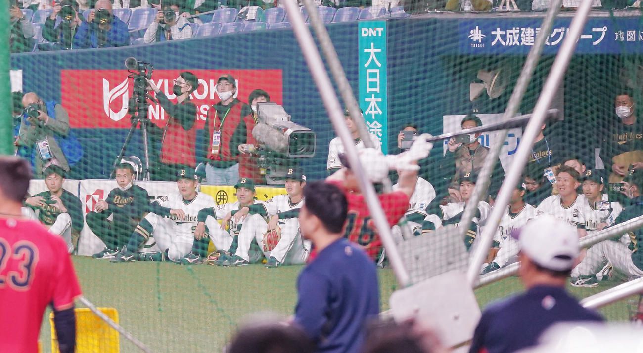 オリックス対侍ジャパン　試合前、大谷（中央）のフリー打撃を見つめるオリックスの選手たち（撮影・狩俣裕三）